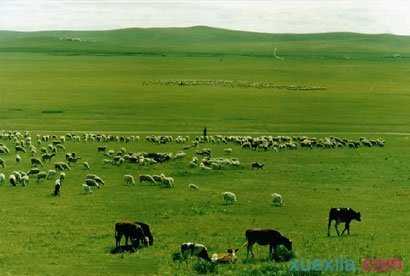为什么外蒙古独立
