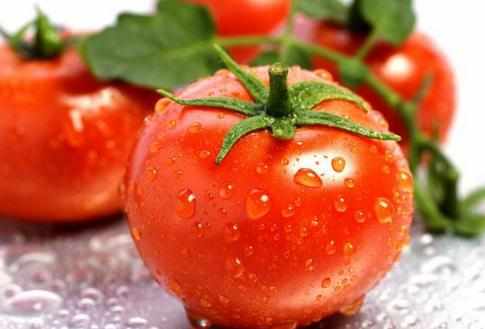 晚间西红柿减肥方法_晚上吃西红柿可以减肥吗