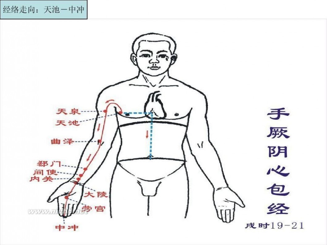 十四经络图十四经络图解说明09